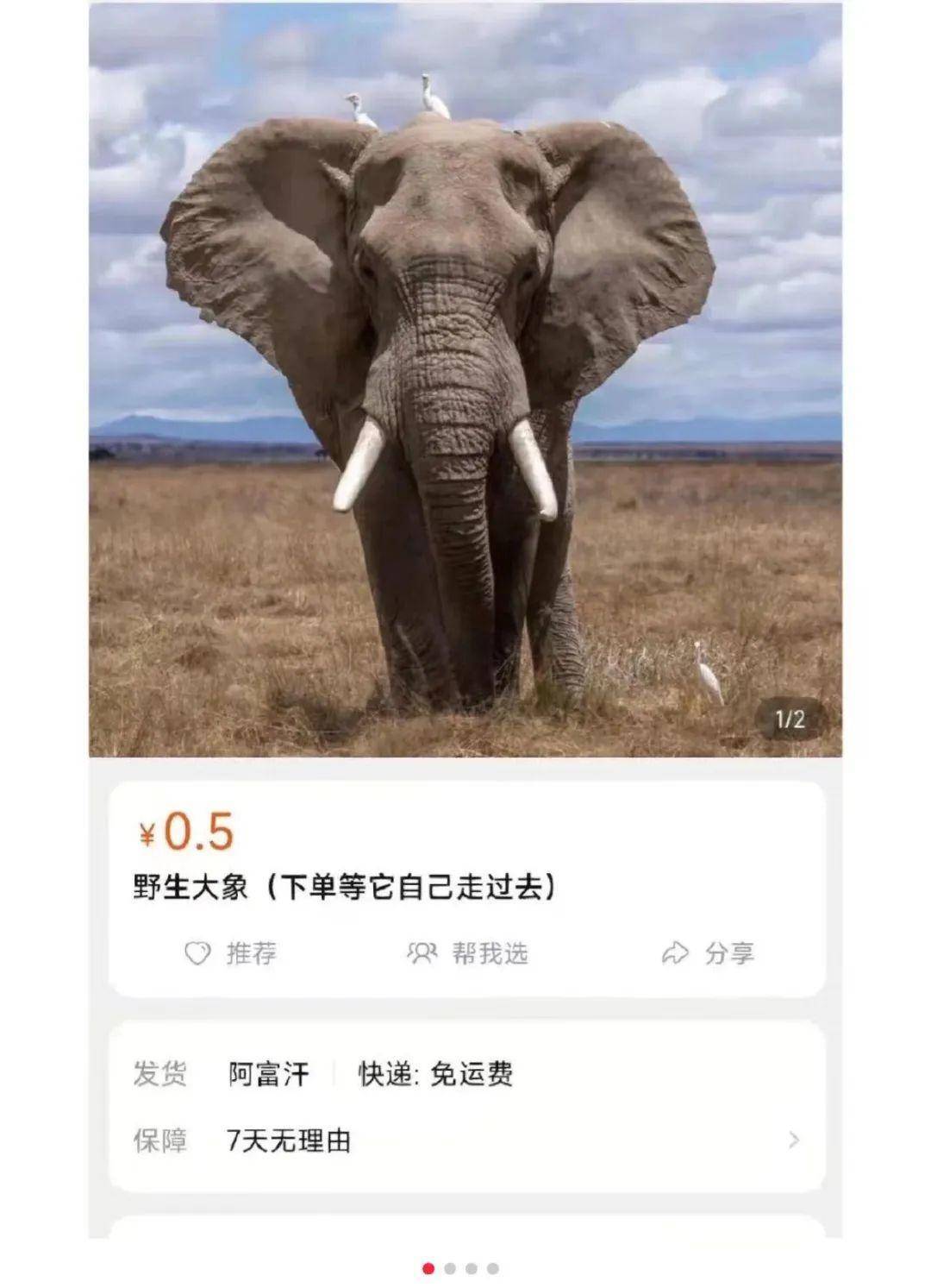手机早间新闻今日十大新闻头条-第2张图片-太平洋在线下载