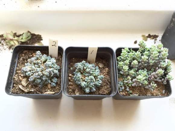 浩博客户端软件开博进销存管理系统