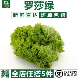 绿色锐捷客户端官方下载绿云pms酒店管理系统下载