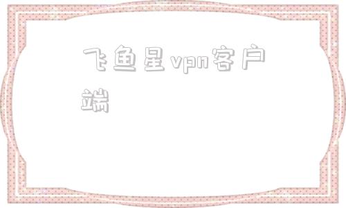 飞鱼星vpn客户端的简单介绍