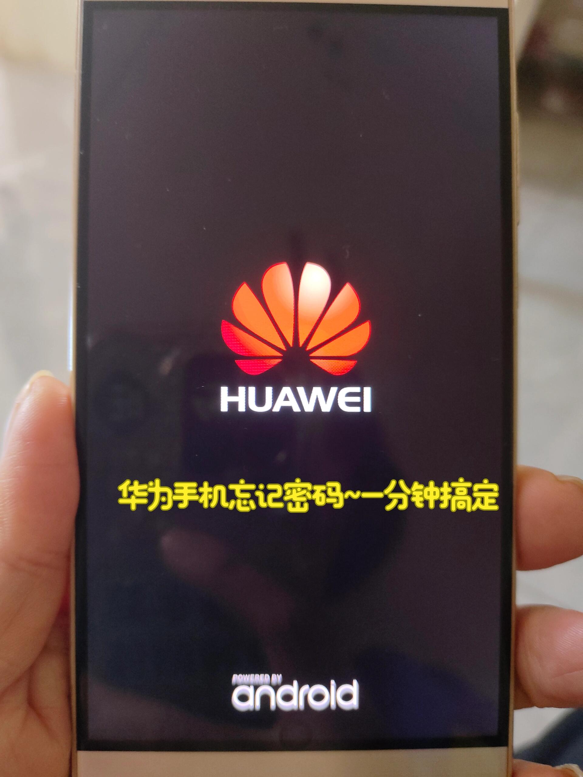 测试服密码大全手机版excel解密软件免费版