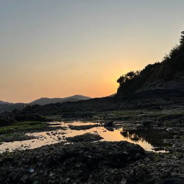 东软ndr客户端东软医药机构综合管理平台
