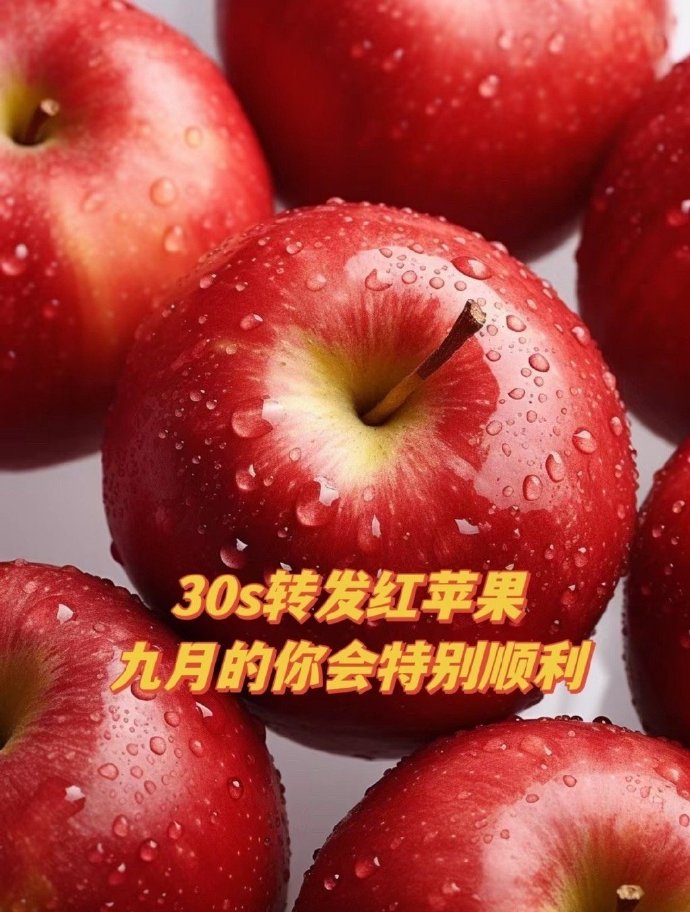 苹果遇见安卓版PP助手iOS版