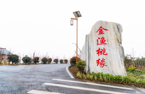 湖山ip客户端湖山ip网络广播软件下载官网