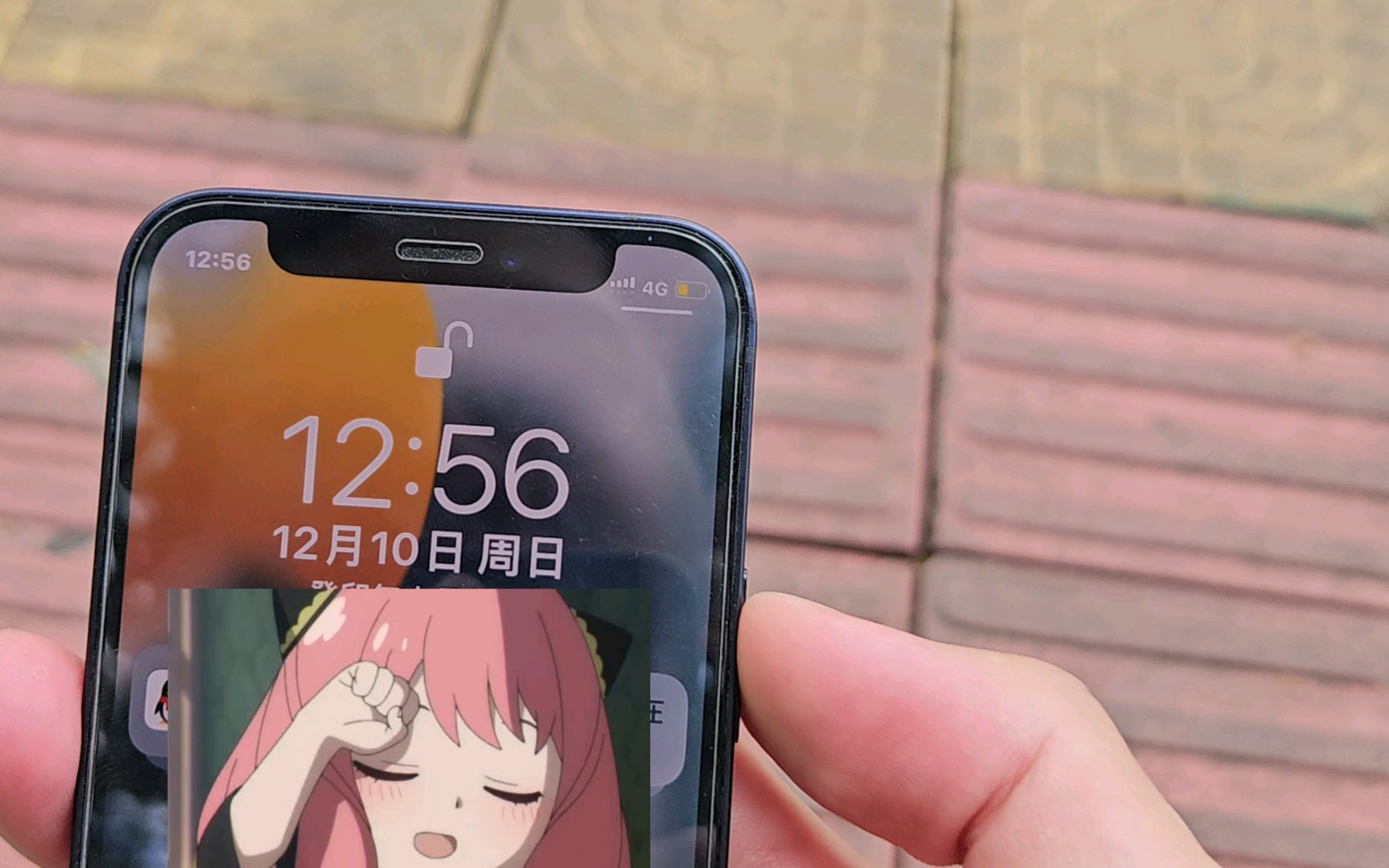 畅聊版苹果畅聊网页版入口