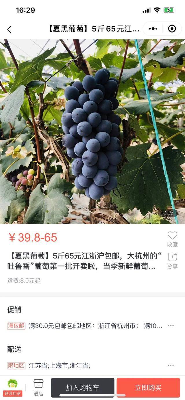 葡萄商城苹果版苹果商店官网商城-第2张图片-太平洋在线下载
