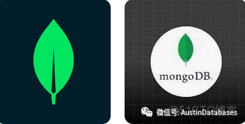 mogodb+客户端mongodb下载安装包