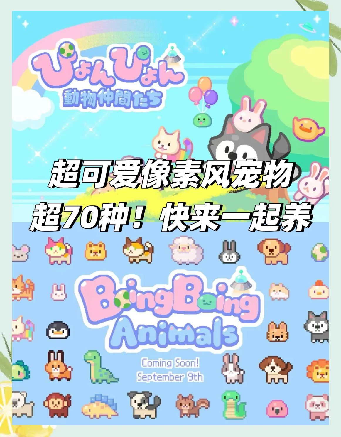 苹果版电子宠物(苹果电子宠物机攻略)-第5张图片-QuickQ官网 苹果版电子宠物(苹果电子宠物机攻略)-第5张图片-QuickQ官网