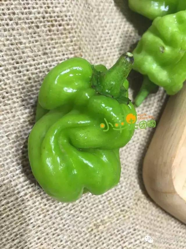 青菜版小苹果改编版(小苹果清唱男声)-第1张图片-QuickQ官网 青菜版小苹果改编版(小苹果清唱男声)-第1张图片-QuickQ官网