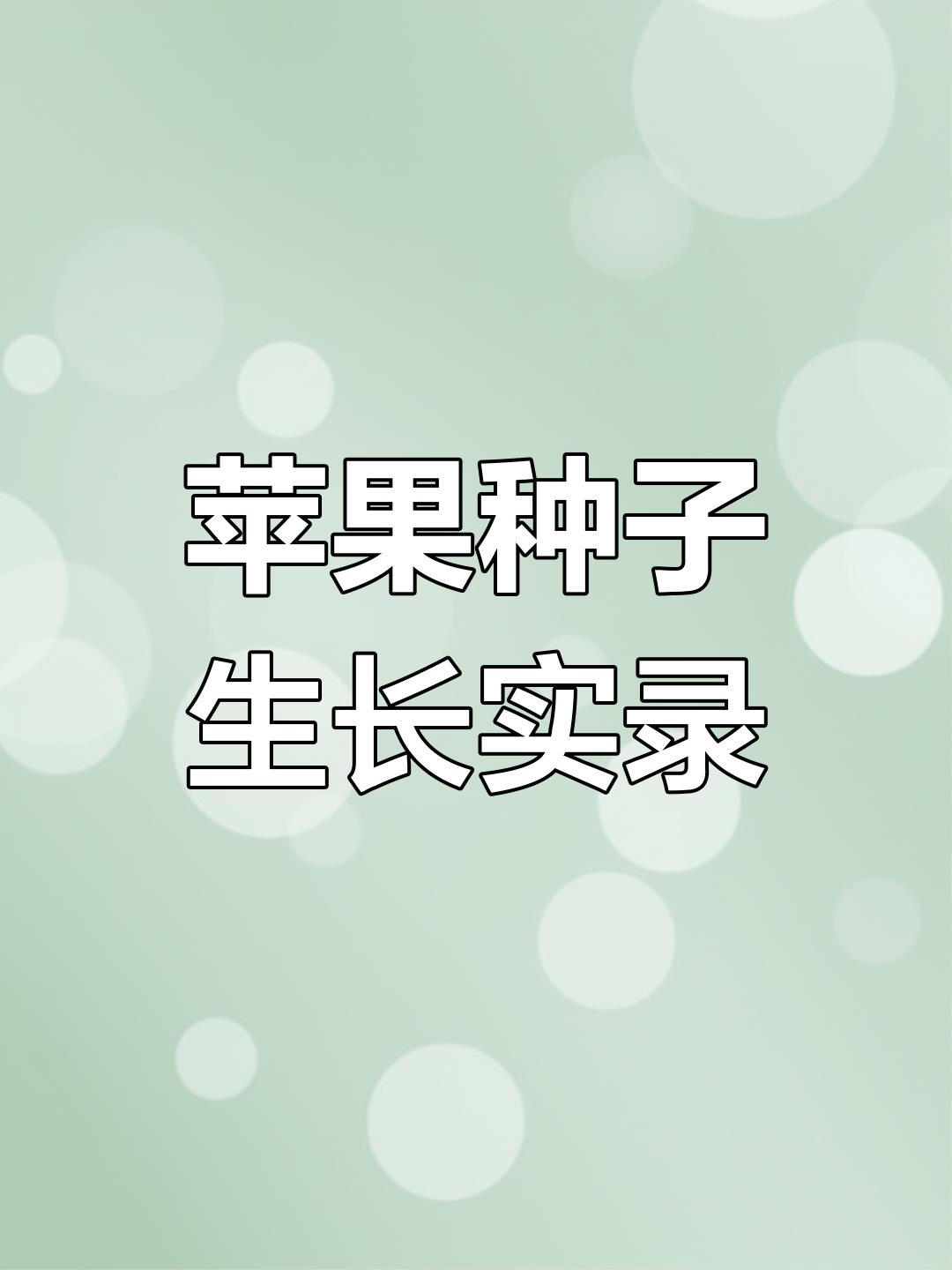 种子苹果版(种子下载 iphone)-第2张图片-QuickQ官网 种子苹果版(种子下载 iphone)-第2张图片-QuickQ官网