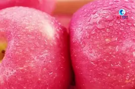 苹果版gpsjoystick中文版(gps joystick ios可以用吗)-第5张图片-QuickQ官网 苹果版gpsjoystick中文版(gps joystick ios可以用吗)-第5张图片-QuickQ官网